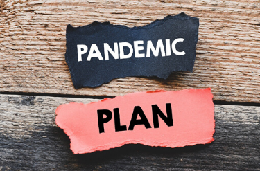When Pandemic Plan D becomes Plan A